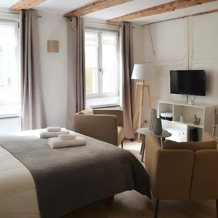 Apartment Maison Verte Centre Colmar