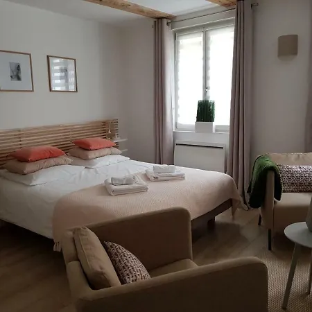 Maison Verte Centre Apartment